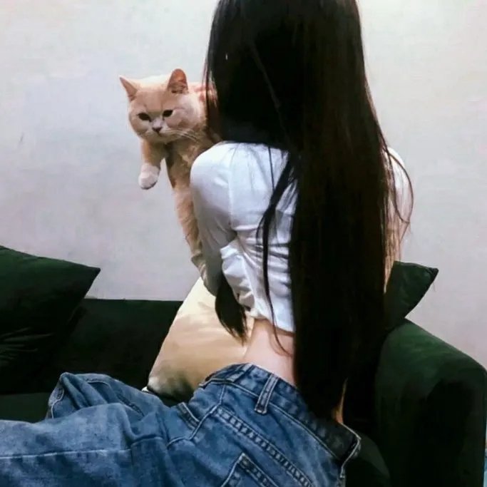 战狼特攻队
